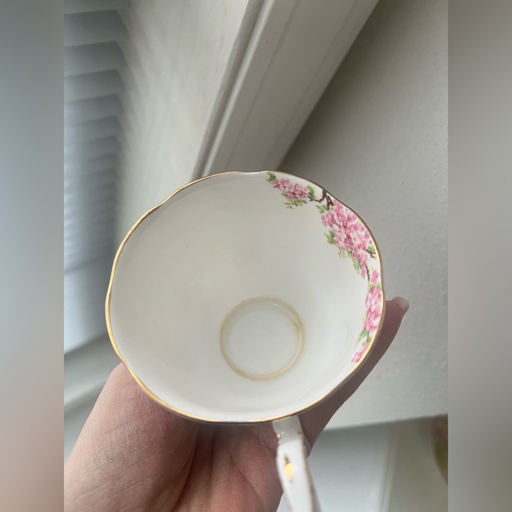 Royal Albert Bone China England Blossom Time Tea Cup & Saucer Set | Pink Blossom - Picture 6 of 7
